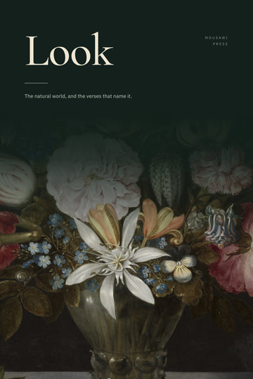 Look cover