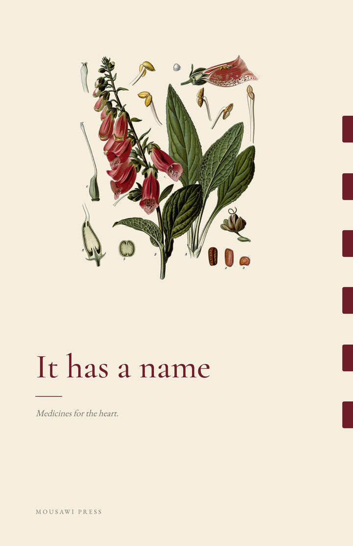 It Has a Name cover