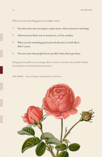 Page 11 of 16: Showing off: what you might notice
