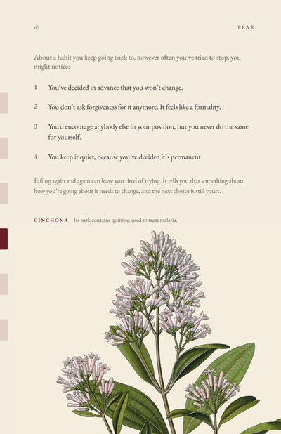 Page 13 of 16: Giving up on yourself: what you might notice