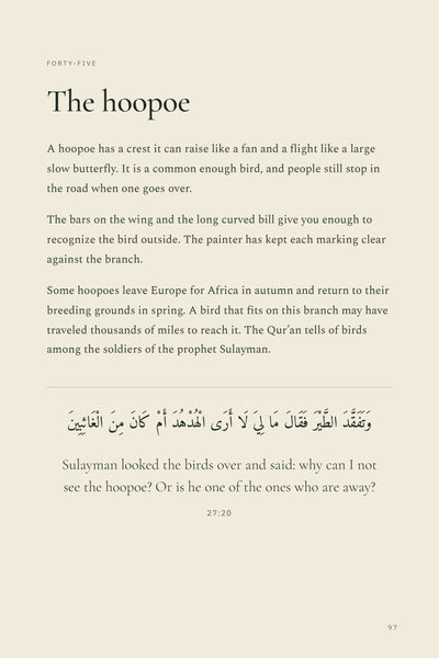 Page 16 of 16: The hoopoe: reading