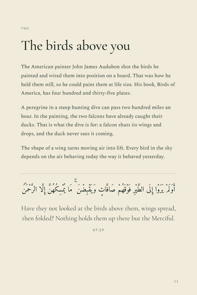 Page 2 of 16: The birds above you: reading