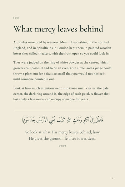Page 4 of 16: What mercy leaves behind: reading