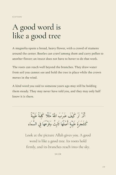 Page 6 of 16: A good word is like a good tree: reading